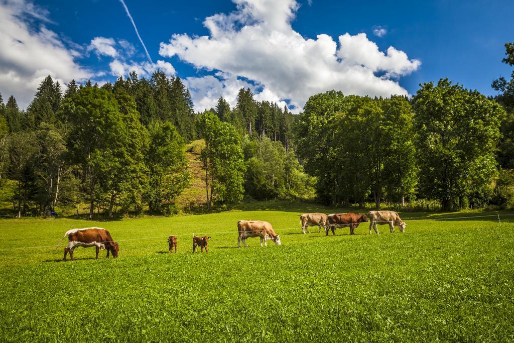 Ferienwohnung Örgenbauer Saalfelden Exterior foto